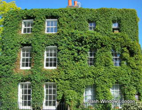 Box Sash Windows